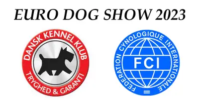Европейская выставка собак EDS 2023