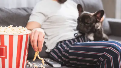 ¿Pueden los perros comer papas fritas?