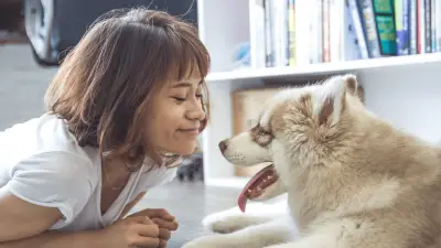 7 Tips on How to Introduce Your Dog to New Roommates