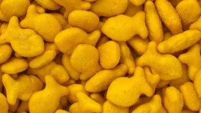 Možete li podijeliti krekere od zlatnih ribica sa svojim psom?