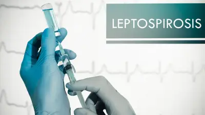 Leptospirosis en perros: síntomas, tratamiento y prevención