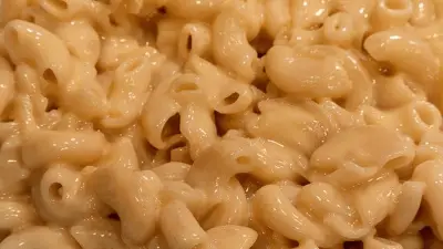 Can Dogs Eat Mac & Cheese | Here's Why it's a Bad Idea