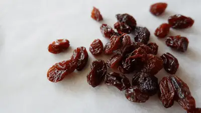 Raisins and Dogs - Are They Really That Dangerous?