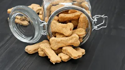 Homemade Snickerdoodle Dog Treats For Your Dog