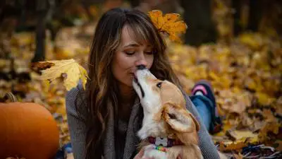 ¿A los perros les gustan los besos?