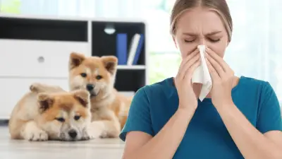 10 najgorih pasmina koje možete odabrati ako imate alergije na pse