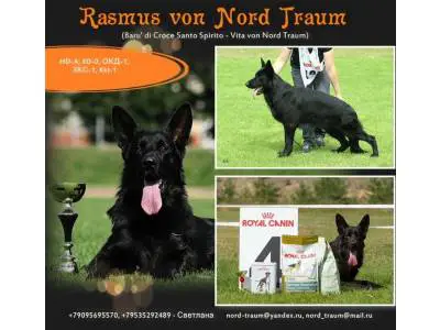 Rasmus von Nord Traum