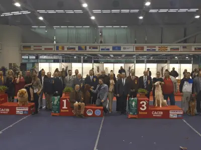world dog show 2021