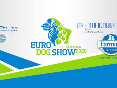 world dog show 2021