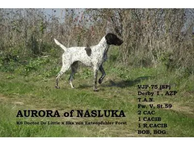 Aurora of Nasluka