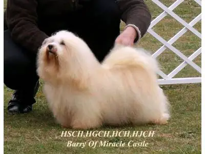 Barry Of Miracle Castle