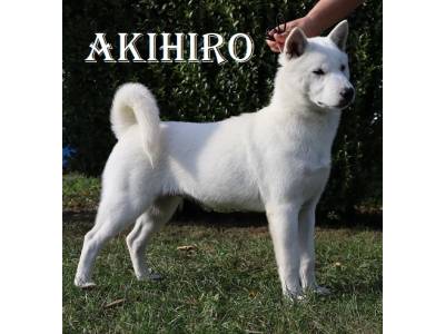 Akihiro