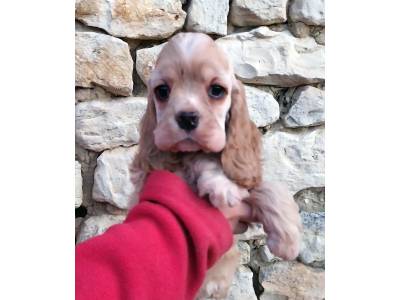 Hall of Lords A Kind o' Magic