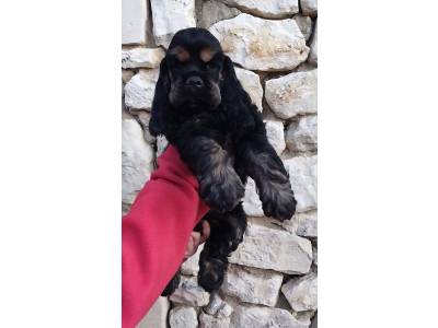 Hall of Lords As Above So Bellow