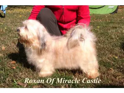Roxan Of Miracle Castle