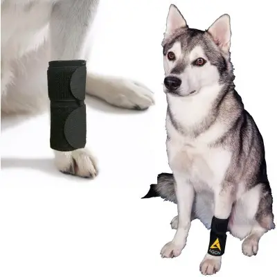AGON Dog Canine Front Leg Brace