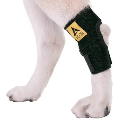 AGON Dog Rear Knee Brace