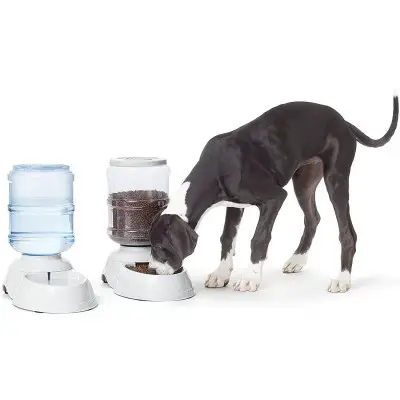 Amazon Basics Gravity Pet Food Feeder and Water Dispenser