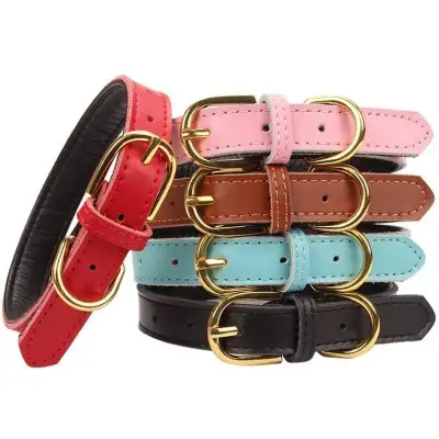 Aolove Classic Padded Leather Collar
