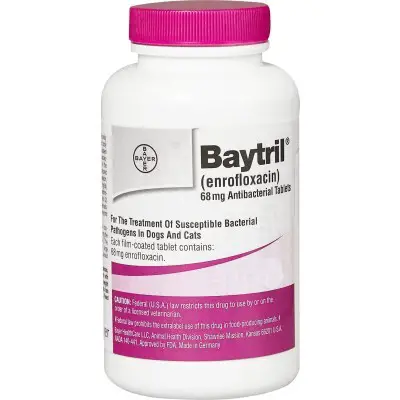 Baytril for dogs