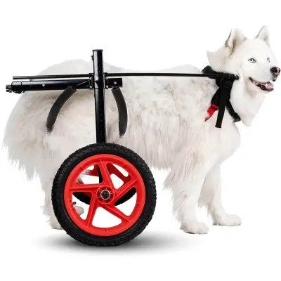 Best Friend Mobility PRO Dog Wheelchair