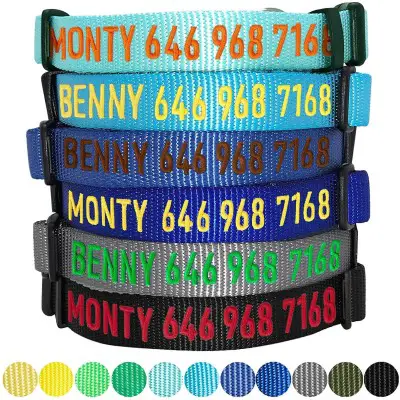 Blueberry Pet Essentials Personalized Dog Collars