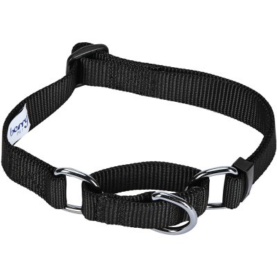 Blueberry Pet Essentials Training Martingale Dog Collars