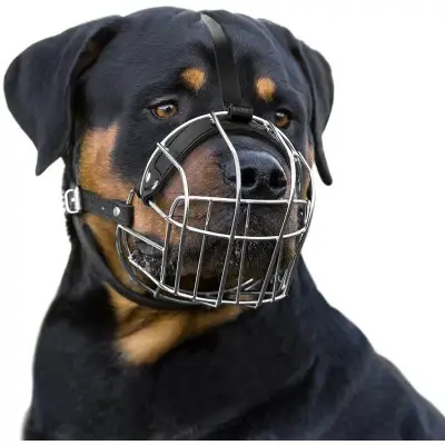 BronzeDog Dog Muzzle Wire Basket