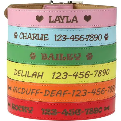 Custom Catch Personalized Dog Collar