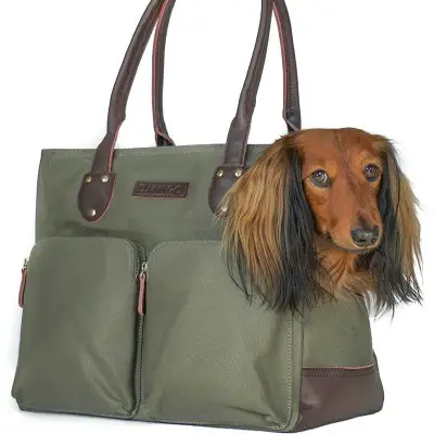 DJANGO Dog Carrier Bag