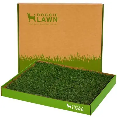 DoggieLawn Real Grass Pad