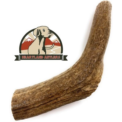 Elk Antlers for Dogs by Heartland Antlers