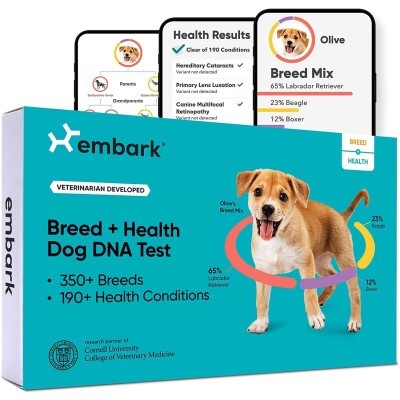 Embark Dog DNA Test