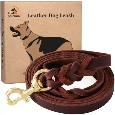 FAIRWIN Leather Dog Leash