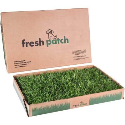 Fresh Patch Dog Pad with Real Grass