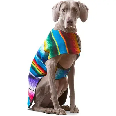 Handmade Dog Poncho from Mexican Serape Blanket