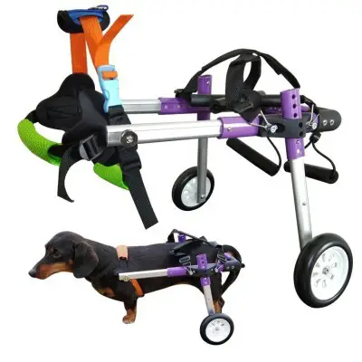 HyHidro 6 Types Cart Pet Wheelchair