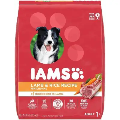 Iams Minichunks Adult Dry Dog Food