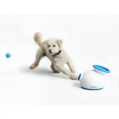 iFetch Interactive Ball Launcher for Dogs