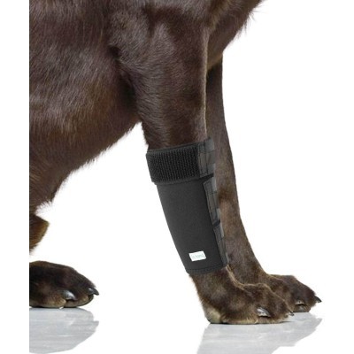 IN HAND Dog Leg Brace