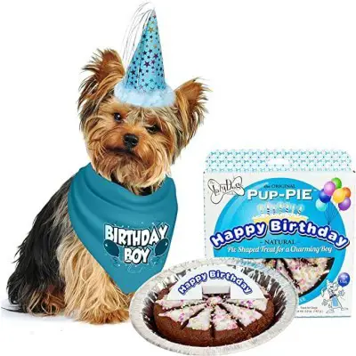 JT PET Dog Birthday Boy Party Pack with Bandana