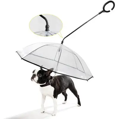 K&L Dog Umbrella with Leash