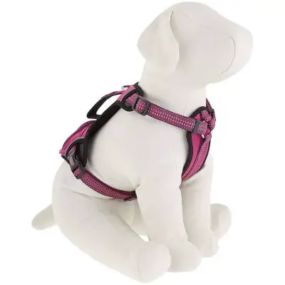 KONG Reflective Dog Harness with a pocket