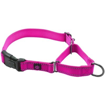 Max and Neo Nylon Martingale Collar