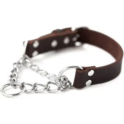Mighty Paw Leather Martingale Collar