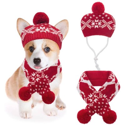 Mihachi Dog Hat and Scarf Set