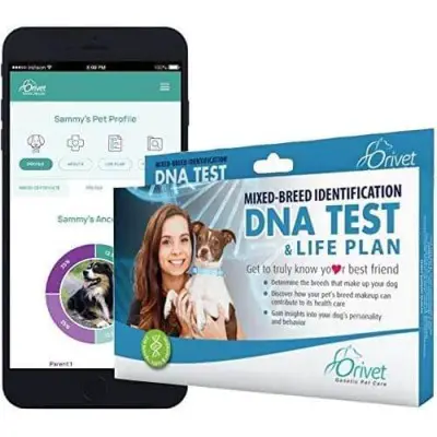 Orivet Dog DNA Test
