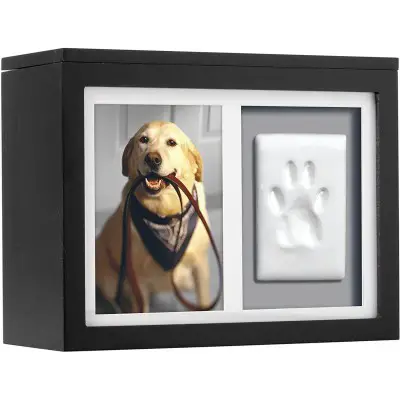 Pearhead Pet Photo Memory Box