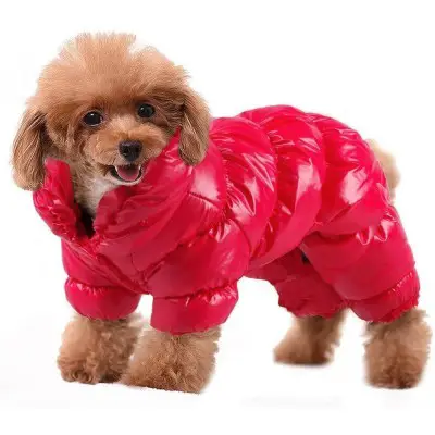 PET ARTIST Winter Dog Coat