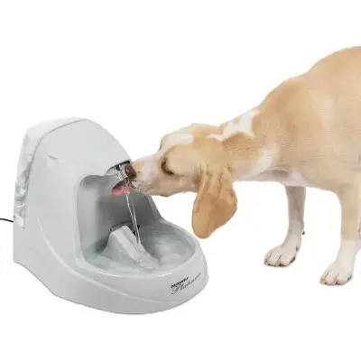PetSafe Drinkwell Dog Water Fountain